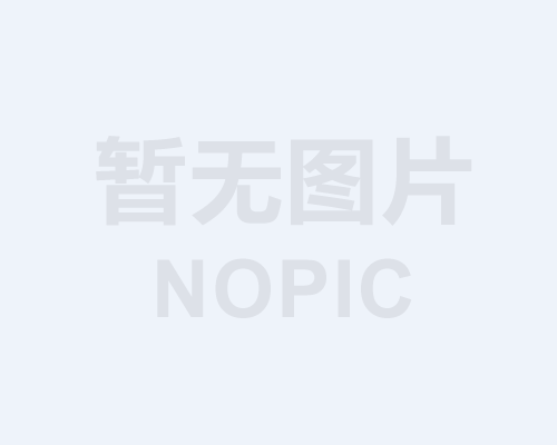 钢衬塑搅拌叶片